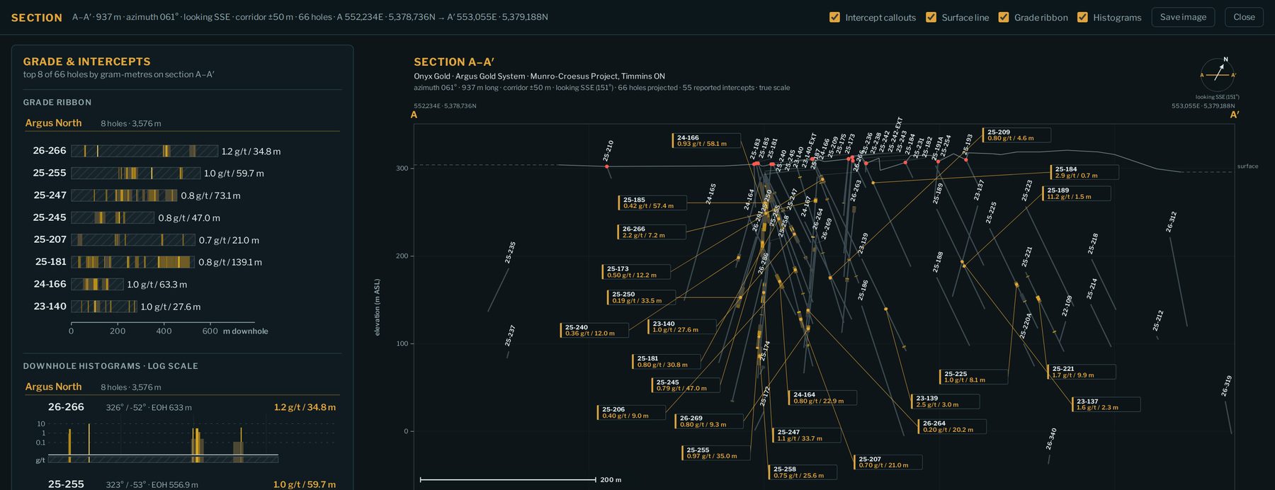 Cross-section A–A′ through the Argus Gold System: 66 projected holes with intercept callouts, surface line, grade ribbon and downhole histograms